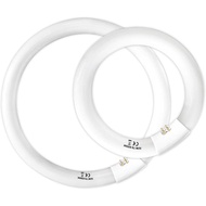 Set FC8T9 22W dan FC12T9 32W Daylight, Mentol Lampu Bulat T9 22 Watt 8 inci, Mentol Fluoresen Circli