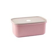 Ward Tupperware I single layer Japanese Bento boxes for lunch-soup box of microwave student-adult ch