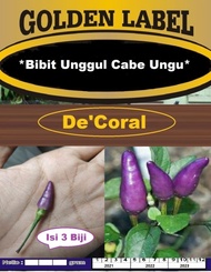 Bibit Unggul Cabe Ungu|Benih Cabe Purple|Bibit Cabai Ungu|Cabe Jepang