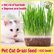 เมล็ดหญ้าแมว เมล็ดข้าวสาลี เมล็ดพันธุ์ 100 เมล็ด Natural Organic Cat Grass Seeds Hydroponic Plant ออ