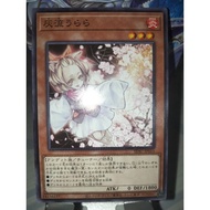 Yu-Gi-Oh Card - Ash Blossom and Joyous Spring Yu-Gi-Oh Card Japanese and Asian English OCG TCG