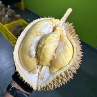 Durian Montong utuh,kupas,daging Frozen, tempoyak,sambal tempoyak teri