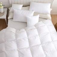 鴻宇 香榭玫瑰羽絨被 波蘭95%羽絨 台灣製(雙人/加大)