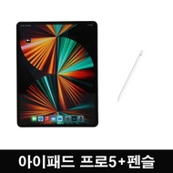 Apple iPad Pro 5th Generation 12.9 Cellular 2TB+Apple Pencil / Cheonggang
