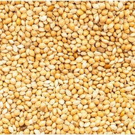 BUDGIE FOOD / MAKANAN BURUNG BAJU. WHITE MILLET READY STOCK SABAH