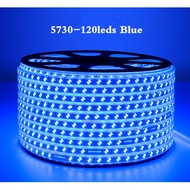 บ้าน Taste IP67กันน้ำ220V แถบไฟ LED SMD 5730 120LEDs/M Super Bright ไฟสำหรับในร่มโคมไฟกลางแจ้งหลอดไฟ