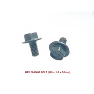 10PCS HEX FLANGE BOLT (M6 x 1.0 x 10mm)