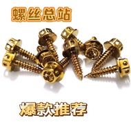304Stainless Steel External Hex Titanium Nails Flange Hollow Self-Tapping Large Head Screws Colorful