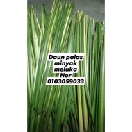 DAUN KETUPAT PALAS MINYAK PEMBEKAL MELAKA