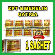 ZPT GIBERELIN GATIGA 5 WP