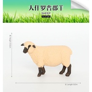 Shiropresive sheep Educational Toy - Shiropreshire sheep Figure