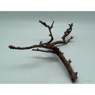 Picturesque Natural Wood Tree Trunk Drift Wood for Aquarium Aquascaping