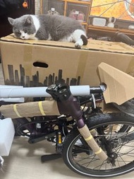 Dahon Mu P10 折疊車