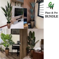 [BUNDLE PROMO]Artificial Plant with Textured PVC Plant Pot Fake Skybird Trees Plastic Plant Pots Tro