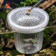 NOVAFLUX Fish Breeding Isolation Box, Suspension Transparent Aquarium Breeder Box, Floating Box Deta