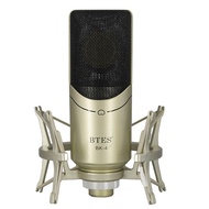 Large diaphragm condenser microphone Professional recording condenser microphone 48V condenser micro