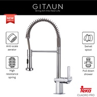 [TEKA] KITCHEN SINK TAP/ STAINLESS STEEL KITCHEN SINK TAP MIXER / PULL-OUT STAINLESS STEEL KITCHEN T