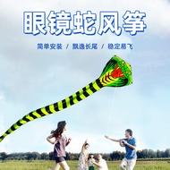 Great Snake Kite，Beach sports for parent-child interaction，Wind-powered Kite for Kids and Adults