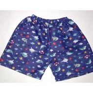 Cartoon BOXER Shorts