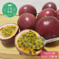 預購【吉貓農園】高雄內門百香果4台斤x1箱(約28~32顆/箱_特級大果_產地直送)