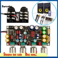 Ba Anti Howling Microphone Module Karaoke Microphone Module Professional Karaoke Microphone Reverb Module with Anti-howling Technology Easy Installation Wide for Sound
