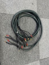 早期audioquest GRANITE喇叭線 2出4 叉出叉 美國製造 每條3M 正常可試