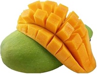 Little Farms Mango - R2E2 (1 fruit)