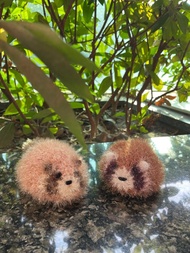 小浣熊造型韓國線菜瓜布