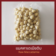 แมคคาเดเมียดิบ เต็มเม็ด 500 กรัม Raw Macadamia Whole 500 g