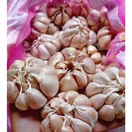 FRESH SINCO ONION/SINO FRESH 1/2KG