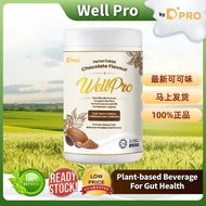 现货 24小时内发货 现货可可味【NEW Chocolate Flavor Wellpro】Wellpro 护胃宝