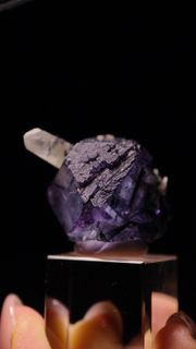 納米比亞外星人螢石與水晶黑碧璽共生Fluorite w/ Quartz and Schorl