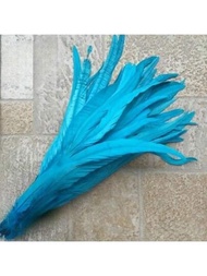 10入組公雞尾羽毛，可用於DIY手工珠寶、服裝和帽子配飾，長尾毛