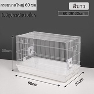กรงหนูแฮมสเตอร์ขนาดใหญ่พิเศษ 60 ซม Hamster Cage กรงหนูตะเภาพกพาสะดวก กรงเอนกประสงค์ กรงแฮมสเตอร์ กรง