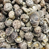 Natural Tea Flower Dried Mushroom| Cendawan Kering 精选茶花菇 100g|200g|300g|500g Grade A