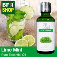 Pure Essential Oil (EO) - Mint - Lime Mint Essential Oil - 50ml