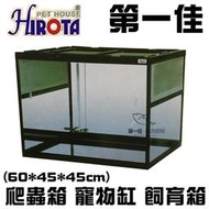 [第一佳 水族寵物]只限自取-台灣HIROTA宣龍〔RP-645 B2〕爬蟲箱 寵物缸 飼育箱(60*45*45cm)