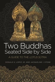 Two Buddhas Seated Side by Side Donald S. Lopez, Jr.