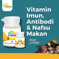 Max Lysine Cat Health Vitamin Max Lysine For Immunity and Antibodies