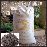 New Product - Termurah Terlaris Akar Pakis Cacah Karungan 10 Kg Khansa Storee-