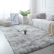 Floor Carpet 1m6 x 2m Living Room, Bedroom - Random color delivery