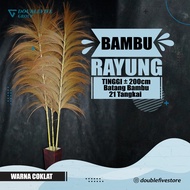 HIASAN RUMAH BAMBU ULIR RAYUNG BESAR DAN RAYUNG PAMPAS DEKORASI BAMBU ULIR ( TIDAK TERMASUK VAS/POT 