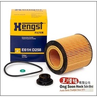BMW N20 F10 F20 F30 X3 X1 328i 520i Oil Filter Hengst E61H D258 (11427640862) 11427953125 (114286832