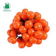 Kesoto Solar Lights for Outside Hanging Lights Persimmon Lantern Practical Easy Setup Decorative for