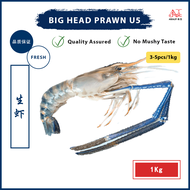 Big Head River Shrimp U5 | Udang Galah U5 | 生虾 U5 (1Kg = 3-5pcs)