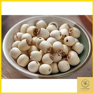Biji Teratai Putih Fujian    Fujian White Lotus Seed     福建白莲子