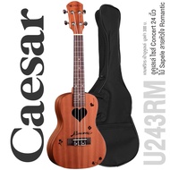 Caesar U243 Concert Ukulele อูคูเลเล่ ไซส์ Concert 24 นิ้ว ไม้ Sapele ฉลุลวดลายน่ารัก เคลือบด้าน + แ