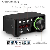 TWO Bluetooth 5.0 Power Amplifier USB Mini Music Player Stereo Home Car Audio Amp SG