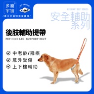 [More Pet Universe] Dog Auxiliary Belt/Pet Belt/Old Belt/Auxiliary Belt/Dog Auxiliary/Pet Auxiliary/