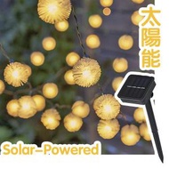 日本暢銷 - 太陽能暖白色蒲公英LED串燈 防水戶外燈飾 聖誕燈飾 佈置 求婚